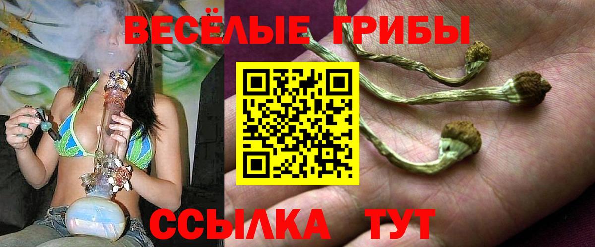Псилоцибиновые грибы Cubensis Майский